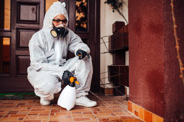 Reliable Wasp Removal contractor in Spring Lake, NJ by Show Me Pest Control